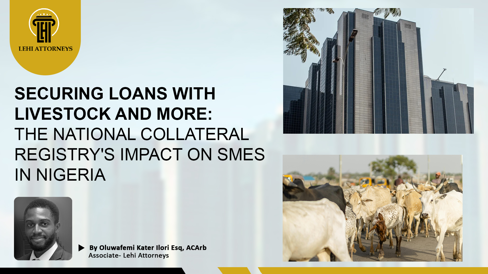 ­SECURING LOANS WITH LIVESTOCK AND MORE: THE NATIONAL COLLATERAL REGISTRY’S IMPACT ON SMES IN NIGERIA